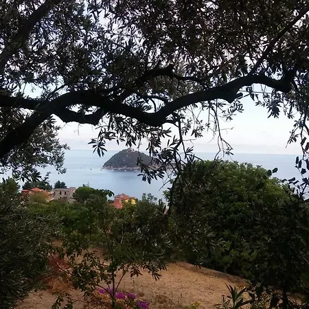 Appartamento Gli Ulivi Al Mare *